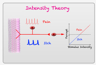 Intensity Theory